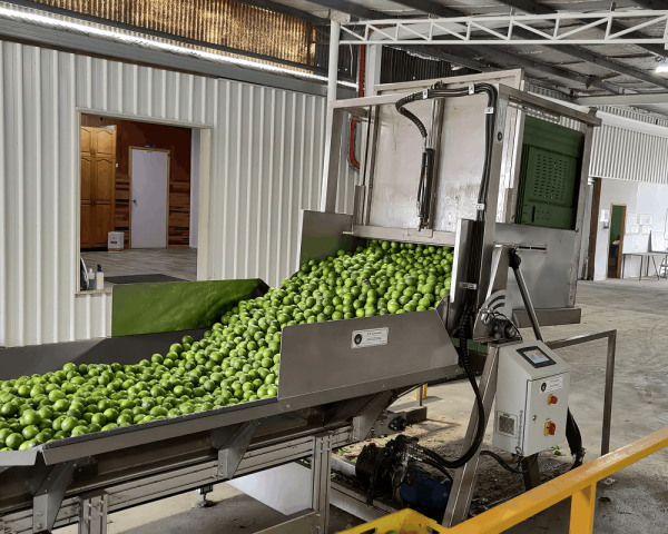 Automatic Bulk Bin Tipper