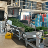Automatic Bulk Bin Tipper