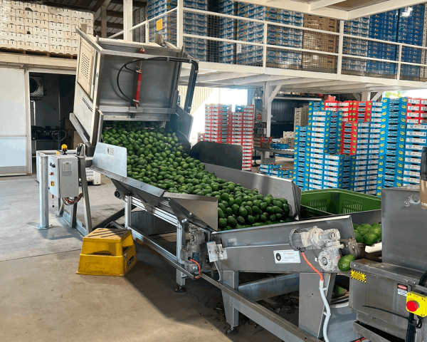 Automatic Bulk Bin Tipper
