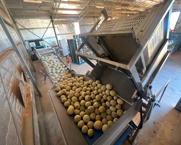 Manual Bulk Bin Tipper