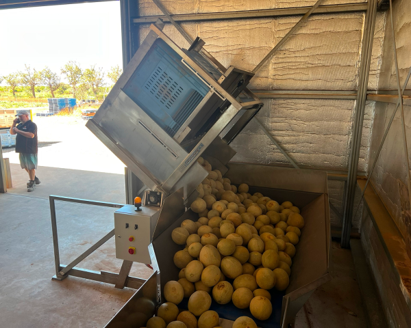 Manual Bulk Bin Tipper