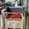 Manual Bulk Bin Tipper