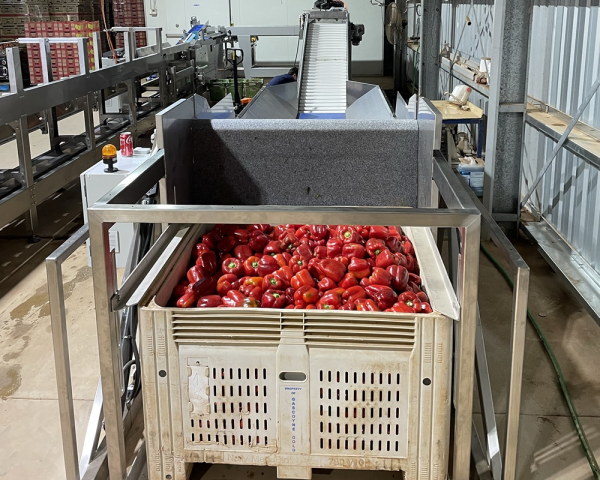 Manual Bulk Bin Tipper