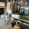 Manual Bulk Bin Tipper