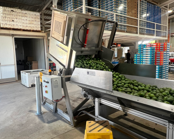 Manual Bulk Bin Tipper