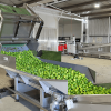 Belt Feeder & Roller Elevators