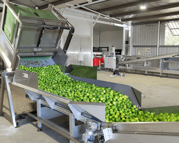 Belt Feeder & Roller Elevators