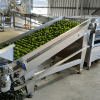 Belt Feeder & Roller Elevators