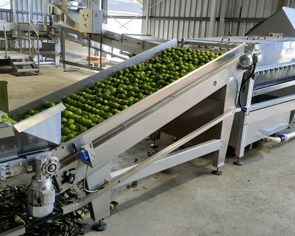 Belt Feeder & Roller Elevators