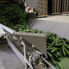 Belt Feeder & Roller Elevators