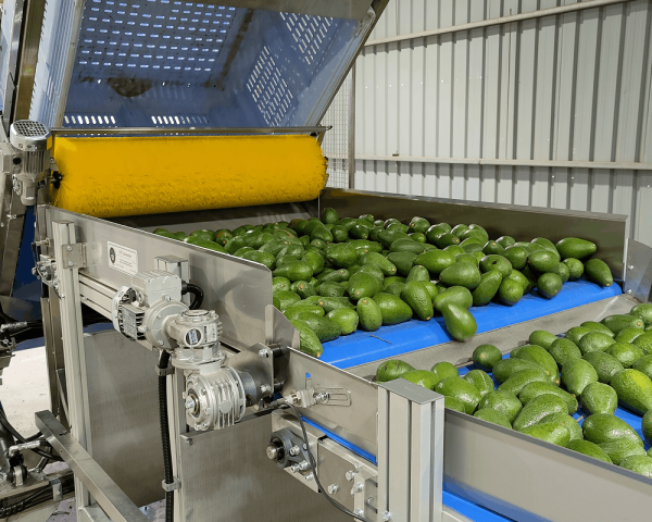 Soft Automatic Bulk Bin Tipper