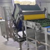 Soft Automatic Bulk Bin Tipper