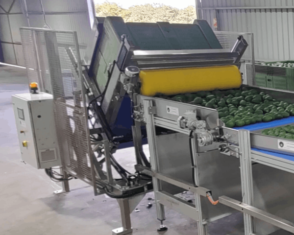Soft Automatic Bulk Bin Tipper