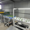 Soft Tipping Belt Feeder