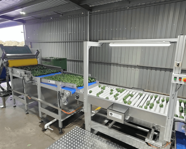 Soft Tipping Belt Feeder