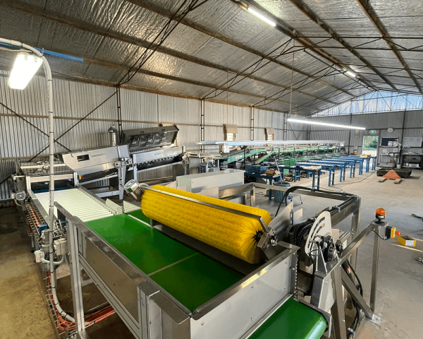 Soft Tipping Belt Feeder